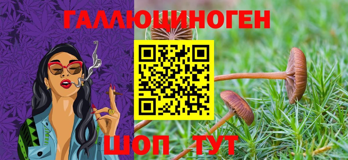 Галлюциногенные грибы MAGIC MUSHROOMS  Вход с VPN  Псилоцибиновые грибы прущие грибы  Верхняя Салда 